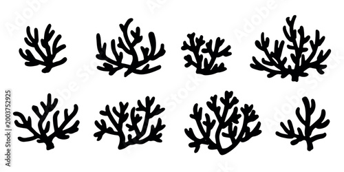 Hand drawn sea coral and seaweed doodle set Tropical underwater flora, aquarium plants, ocean plant, algae, coral reef, leaves, branches