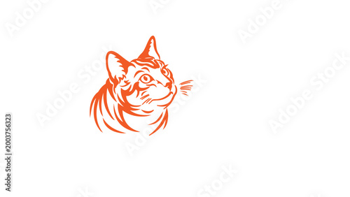 Elegant Cat Portrait in Orange: An artistic cat portrait in vibrant orange, showcasing the feline's graceful profile against a simple backdrop, capturing the essence of the animal's regal nature.