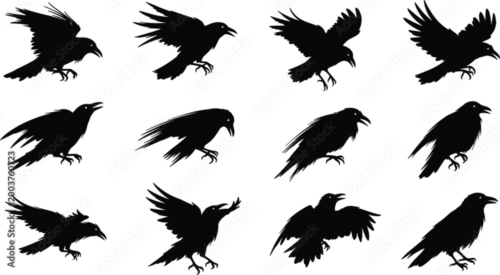 Fototapeta premium Crow silhouettes set in various flying and landing poses featuring black bird shapes for wildlife and design elements