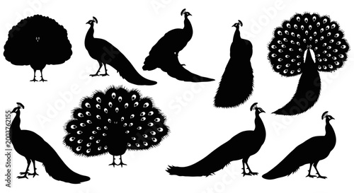 Peacock Silhouettes Vector Collection: Elegant Birds in Various Poses