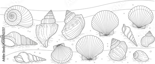 Intricate hand drawn illustration of diverse sea shells collected from the ocean floor arranged beautifully in a linear pattern for a creative coloring book project