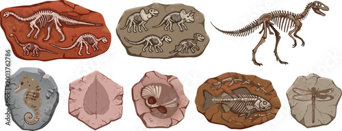 Fossils and dinosaur skeleton collection, prehistoric vector illustration set with ancient bones imprints and paleo specimens isolated on light background for education design