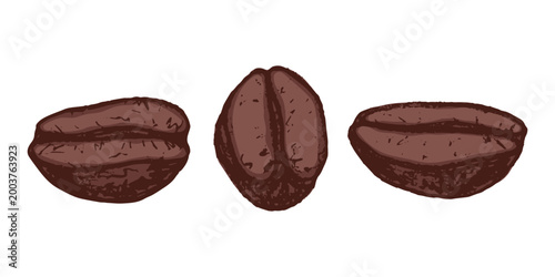 Set of hand drawn fresh roasted coffee bean Arabica robusta seed doodle Single element for design print packaging label decor