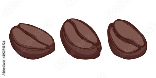Set of hand drawn fresh roasted coffee bean Arabica robusta seed doodle Single element for design print packaging label decor