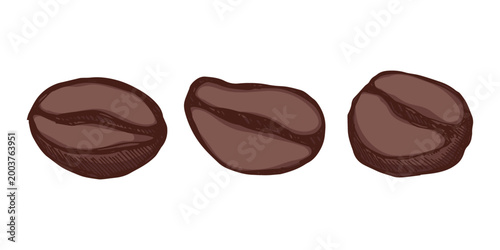 Set of hand drawn fresh roasted coffee bean Arabica robusta seed doodle Single element for design print packaging label decor