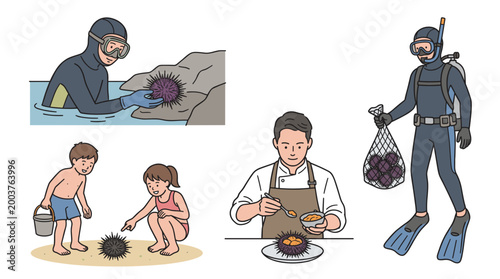 Sea urchin harvesting and seafood vector set featuring scuba diver catching, children exploring on beach, and chef preparing fresh uni dish.