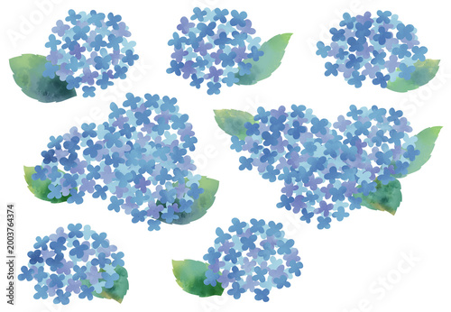水彩風で描いた紫陽花のイラストセット