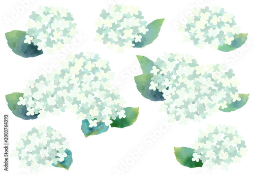 水彩風で描いた紫陽花のイラストセット
