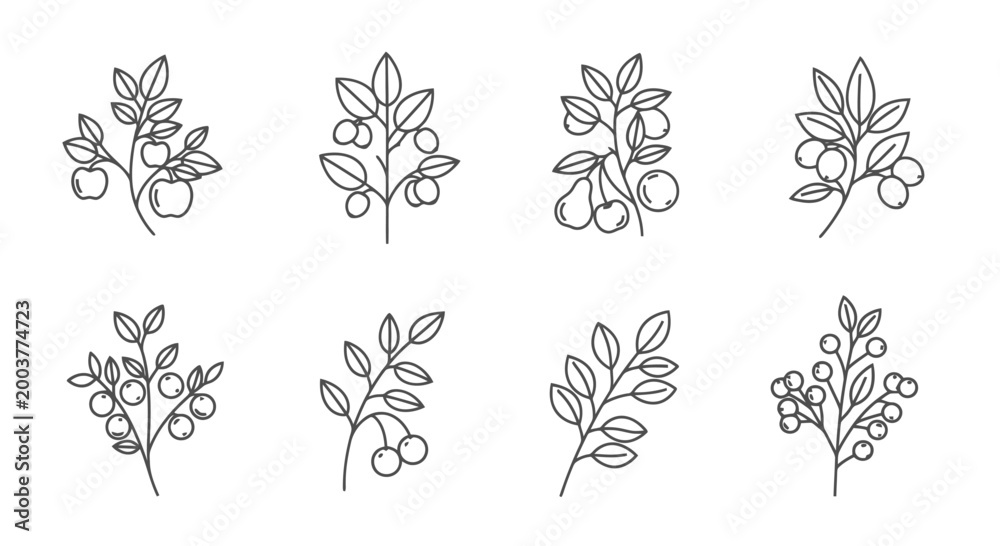 Fototapeta premium A collection of various plant illustrations.