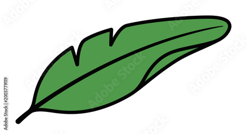 Stylized Tropical Green Banana Leaf Illustration on White