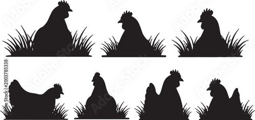 Foto Black Solid Hiding Chicken Silhouettes Set of Six on White Background