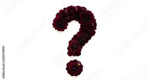 Floral question mark symbol made of dark burgundy dahlias and roses on a white background. Botanical punctuation mark for elegant design and creative concepts.