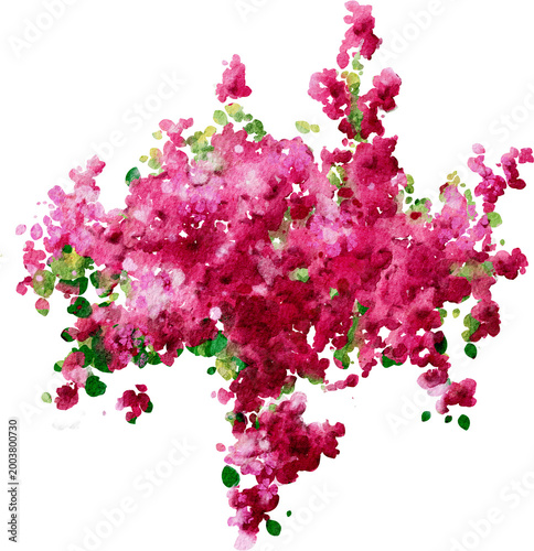 Watercolor Pink Floral Arrangement