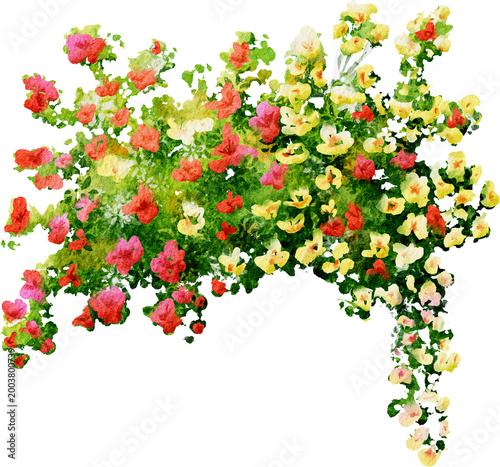 Watercolor Tiny Flowers Arrangement