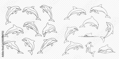 Set of various dolphin line art illustrations in different poses, perfect for marine life designs and educational materials.