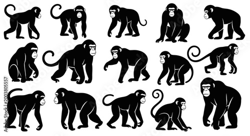 Canvas Print Monkey Silhouettes Collection: Various Poses and Actions