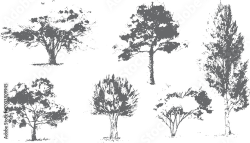 Spooky tree silhouettes with dripping grunge overlay Grunge woodland scene with distressed ink texture