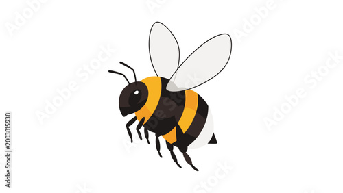 Detailed illustration of a fuzzy bumblebee with black and yellow stripes and transparent wings hovering on a white background for nature.