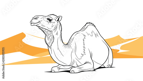 Single camel with one hump resting in a vast desert landscape with orange sand dunes under a clear white sky for travel and nature themes.