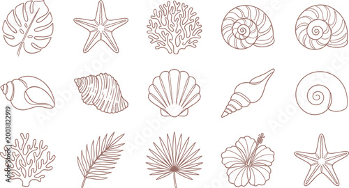 Bild auf Leinwand Seashell and tropical line art vector set with coral starfish leaves minimalist
