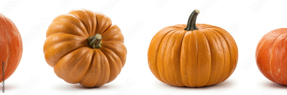 Fototapeta premium Several ripe orange pumpkins arranged in a row isolated on a white background