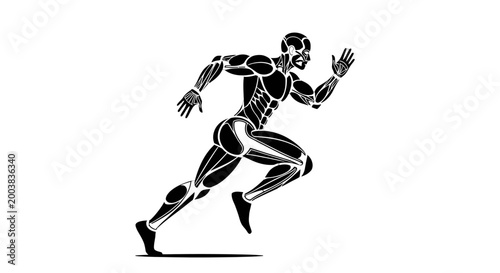 Powerful muscular male runner in sprint silhouette, showcasing athletic strength and speed on an isolated white background