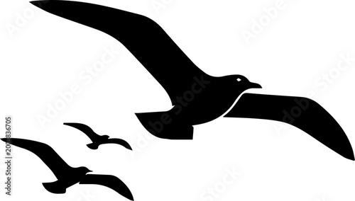 vector illustration of a seagull flying