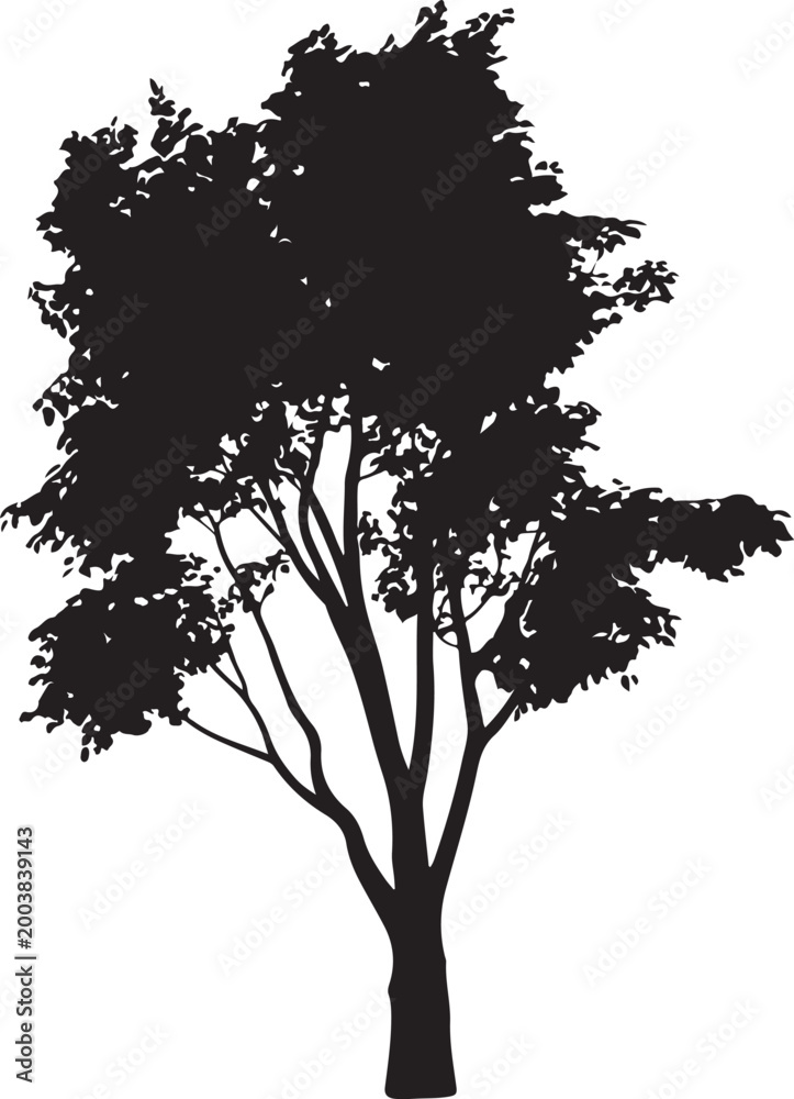 Fototapeta premium Black silhouette of a tall evergreen tree isolated on white background. Tree Silhouette Illustration