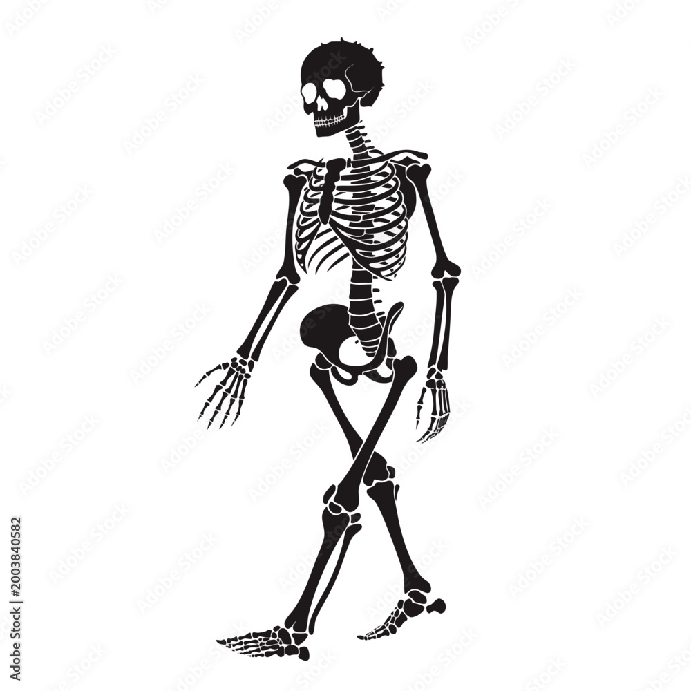 Obraz premium Black skeleton, human skeleton, walking skeleton, Halloween icon, vector illustration