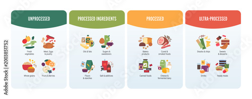 Levels of food processing infographic. Flat vector illustration of NOVA system. Unprocessed, processed ingredients and ultra-processed food cards isolated on white.