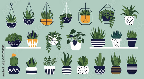 Colorful assortment of potted plants and succulents arranged in decorative containers indoors.