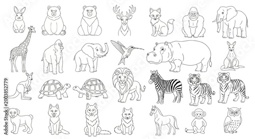 Assorted line drawing of various animal silhouettes and creatures in playful sketches.