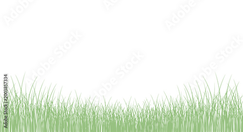 Green grass blades closeup view.