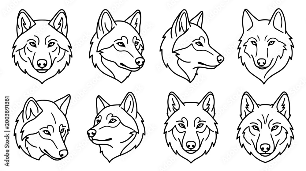 Fototapeta premium Detailed Line Art Portraits of Wolves for Nature-Inspired Designs
