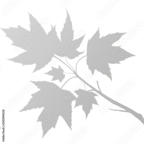 Maple Leaf Branch Shadow Overlay