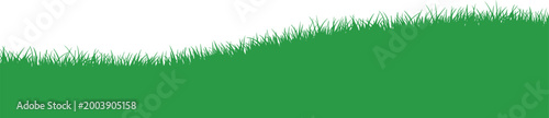 Green grass border vector, lush meadow edge with blades, natural lawn design, spring landscape decorative element