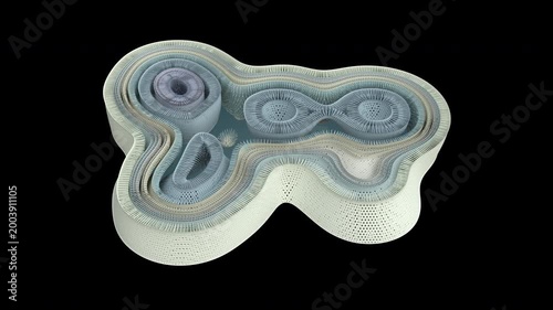 Mitosis and Cytokinesis Cell Cycle Cross Section on Transparent Background