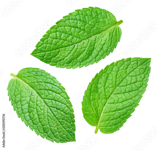 Green flying mint leaves isolated on transparent background. Mint leaves isolated with png
