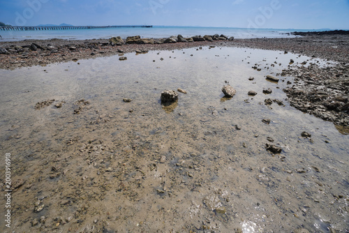 Konstfotografi Stony and rocky beach in nature reserve with its unique textures and patterns an