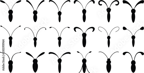 Abstract insect antenna silhouettes set with decorative curved shapes minimal black vector collection on light background