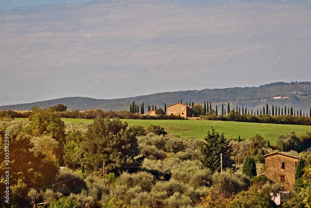Obraz premium Camprena, il panorama sulle colline del senese dal Monastero di Sant'Anna in Camprena, Siena, Val d'Orcia, Toscana