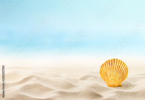 One small orange seashell on a sandy beach with copy space