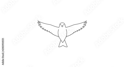 Bird in Flight with Spread Wings.