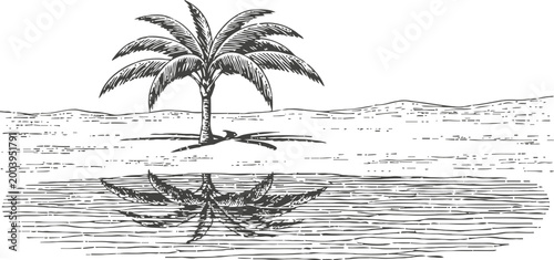 Palm tree on sandy beach with ocean water reflection in black and white sketch