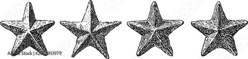 Four hand drawn starfish illustrations in black and white line art
