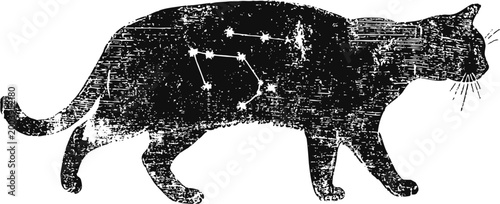 Black cat silhouette with star constellation overlay celestial night sky, cosmic animal, astrology theme