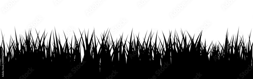 Obraz premium Meadow silhouette with grass, plants on plain. Panoramic summer lawn landscape with herbs, various weeds. Herbal border, frame element. Black horizontal banners. Vector illustration