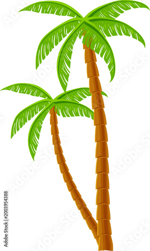 Tropical Coconut Palm Illustration