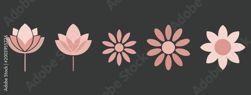 Five stylized pink flowers on dark background floral
