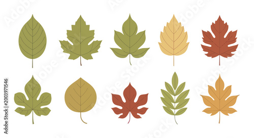Obraz na plátne Collection of Autumn Leaves in Various Shapes and Colors.